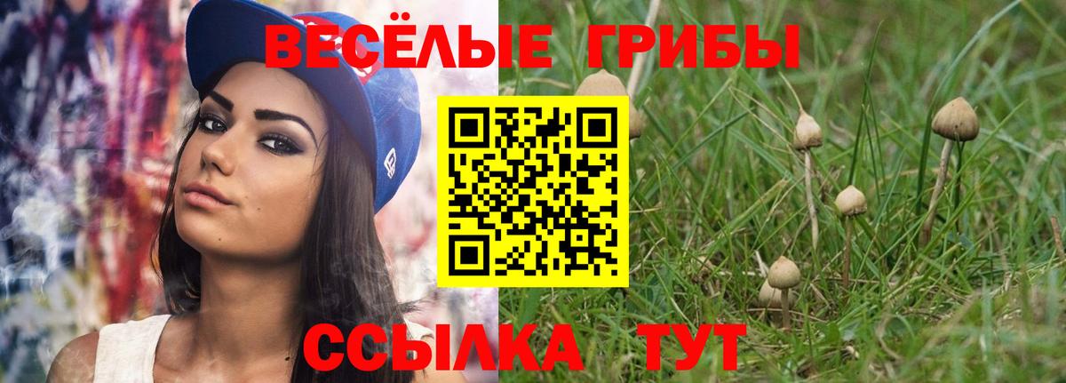 Северобайкальск  Псилоцибиновые грибы прущие грибы  Вход с VPN 
